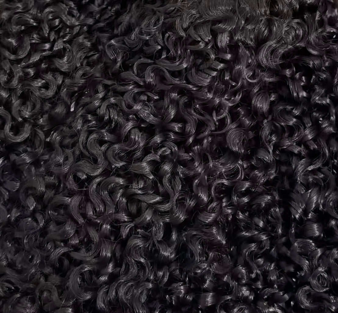 Burmese Micro Curl Formula
