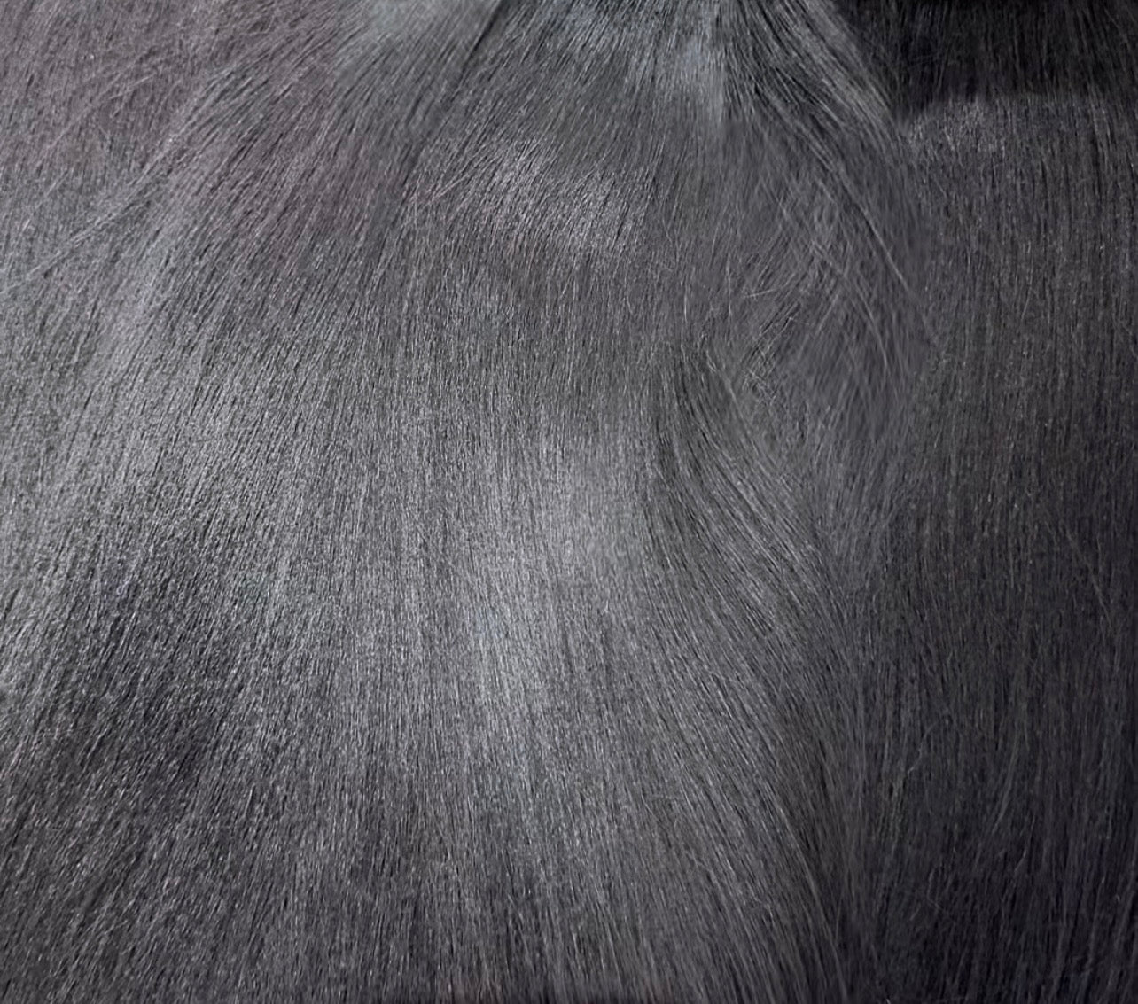 Burmese Silk Straight