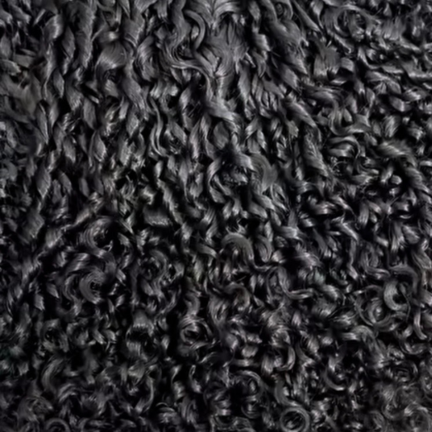Burmese Pixie Curl Formula
