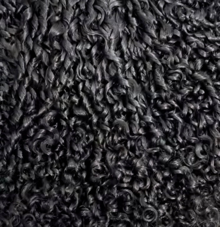 Burmese Micro Curl Formula