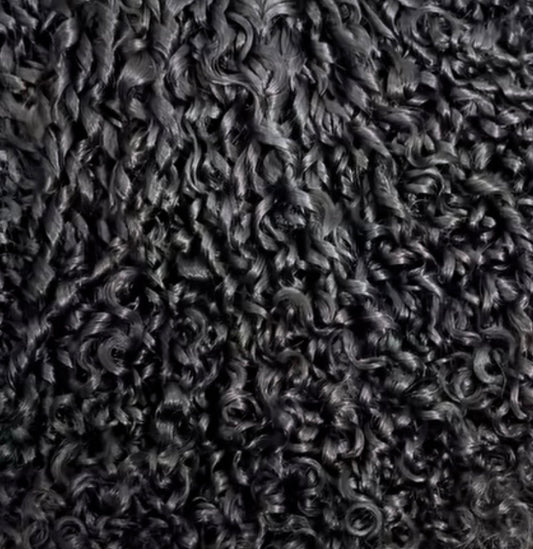 Burmese Micro Curl Formula