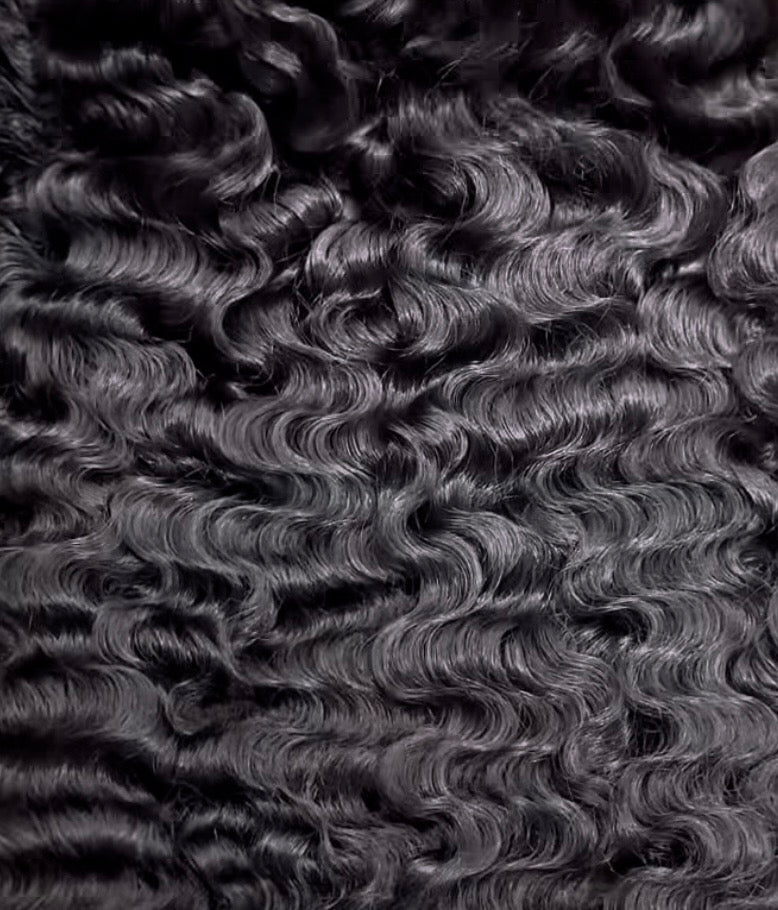 Burmese Classic Curl