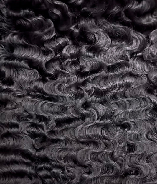 Burmese Classic Curl