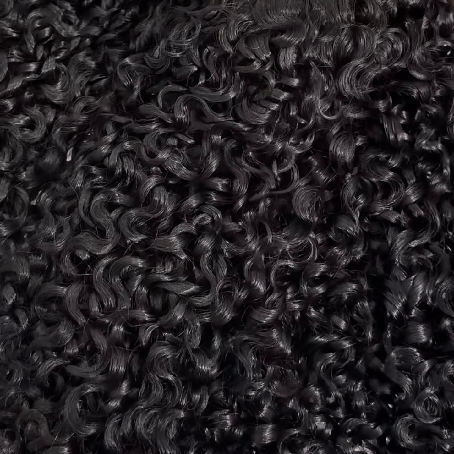 Burmese Pixie Curl Formula